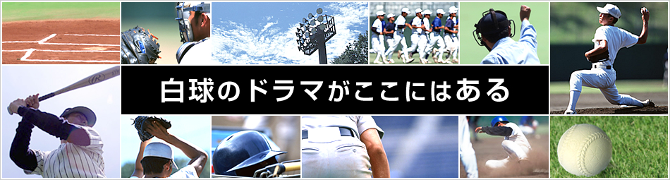 兵庫県軟式野球連盟 公式サイト