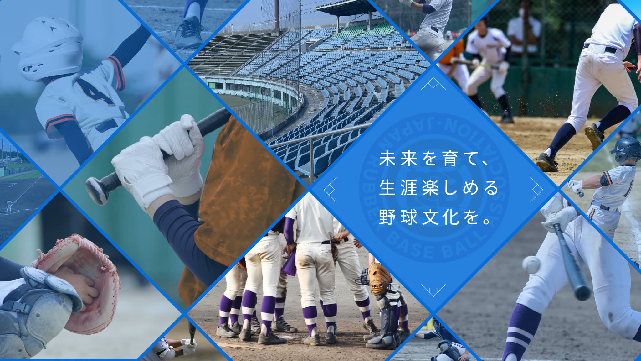 未来を育て、生涯楽しめる野球文化を。