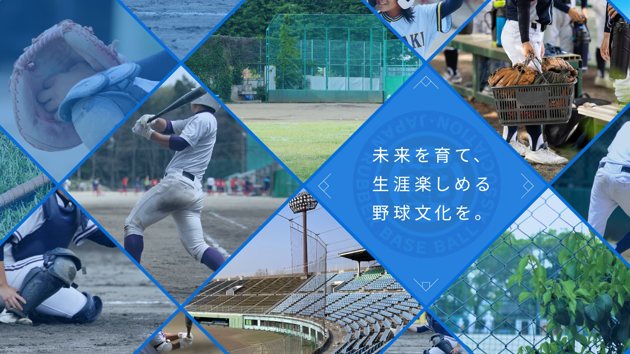 未来を育て、生涯楽しめる野球文化を。